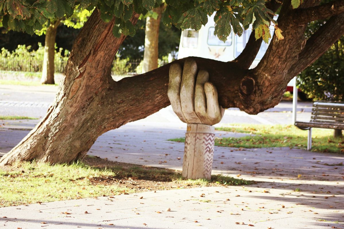 A heavy, low tree limb held up by a carved wooden prop in a park