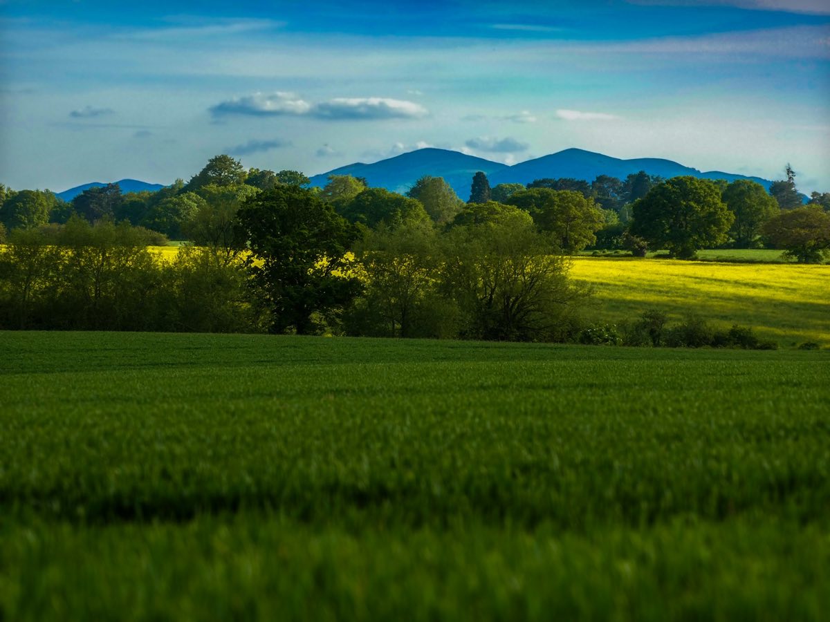 The Malvern Hills rising beyond green fields and hedgerow trees