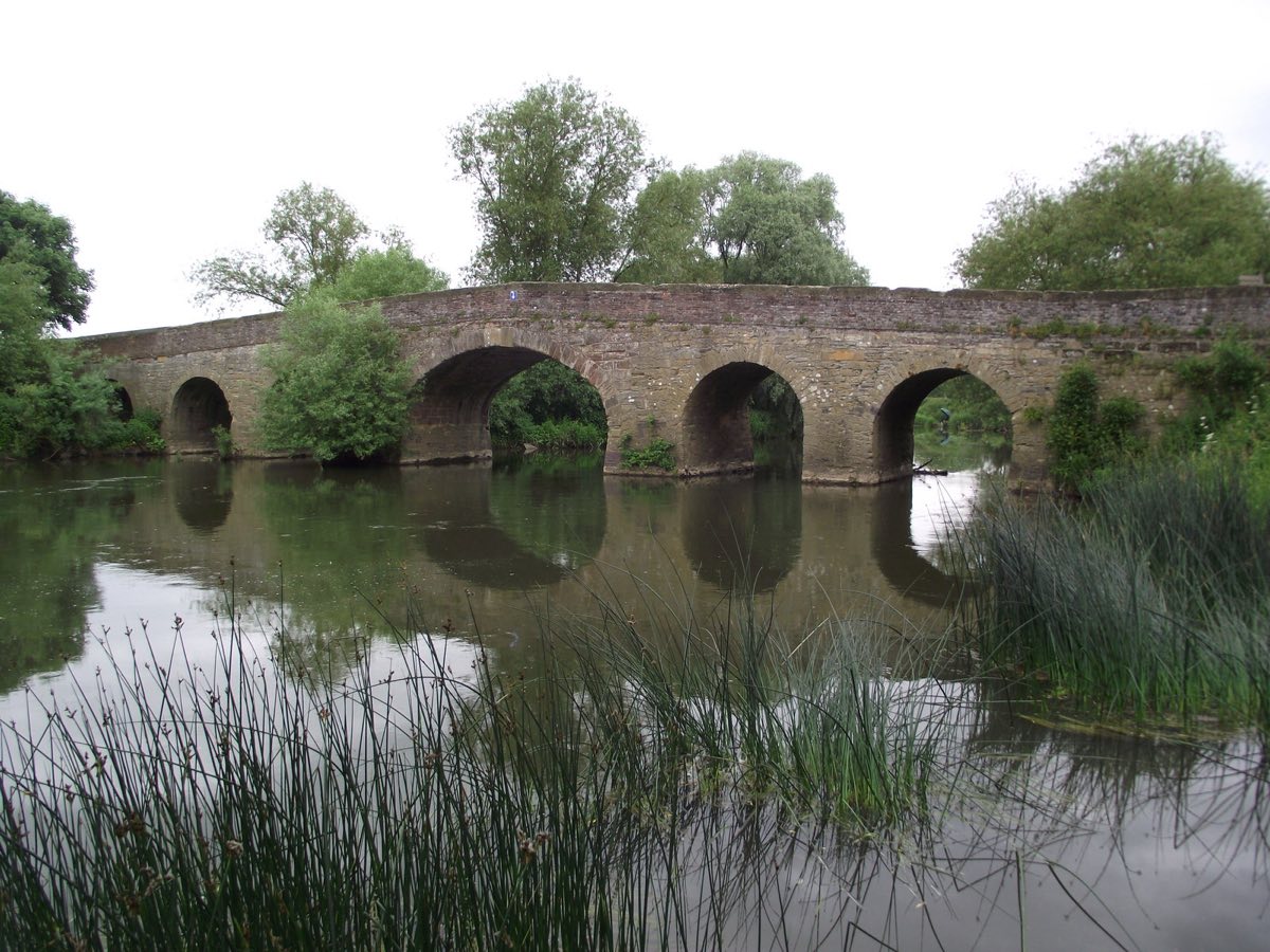 Pershore Old Bridge crossing the River Avon, with trees along the banks