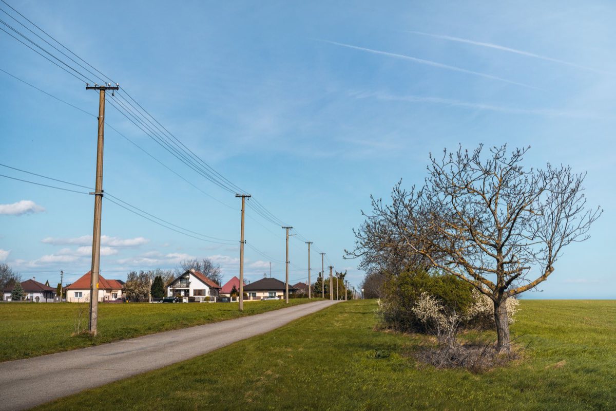 Overhead electricity lines on wooden poles running along a rural road past roadside trees