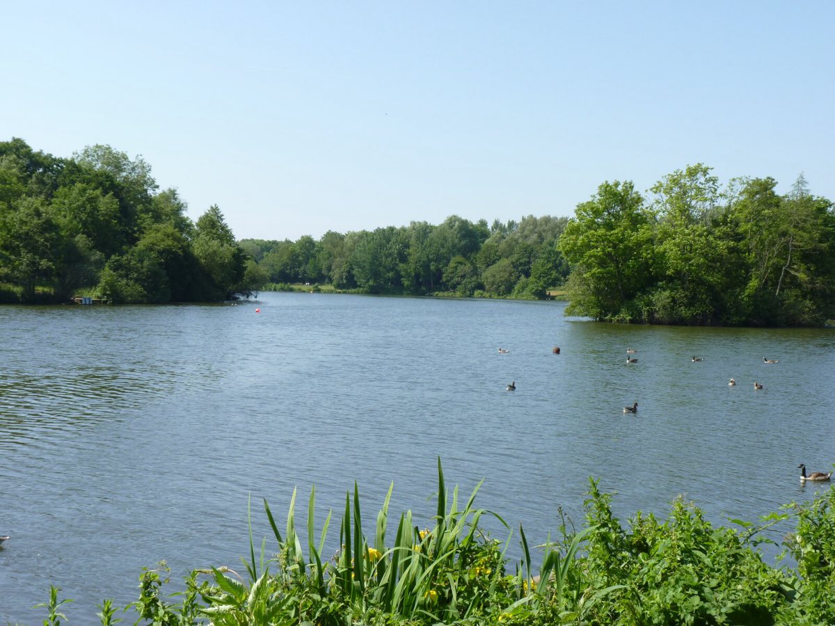 Arrow Valley Lake fringed with trees in Arrow Valley Country Park, Redditch